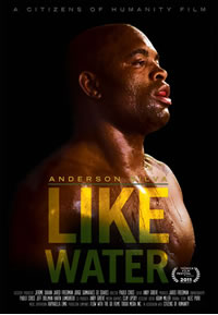 anderson silva